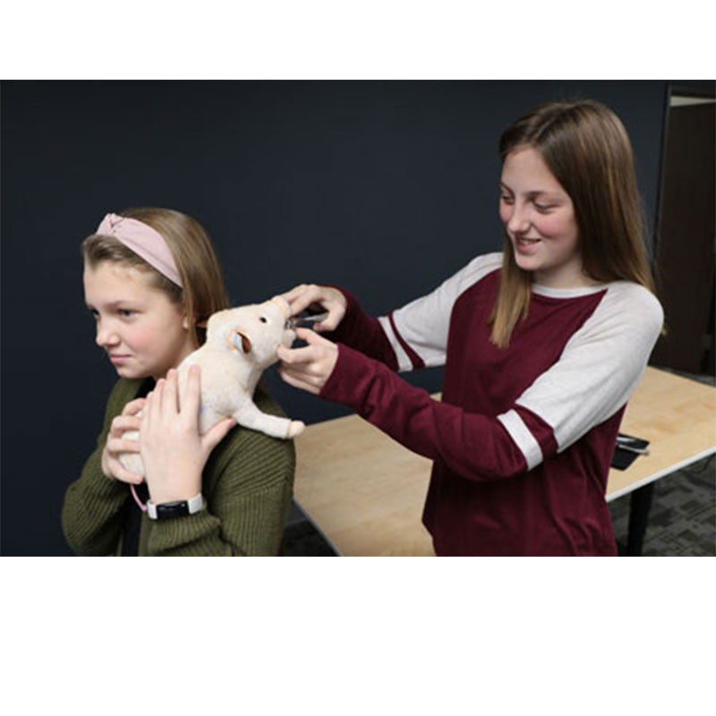 Swine Litter Processing Simulators Replacement Supply Pack