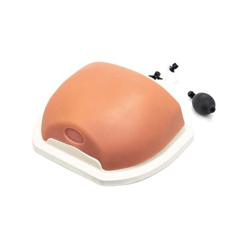 Thoracic Spine Injection Trainer