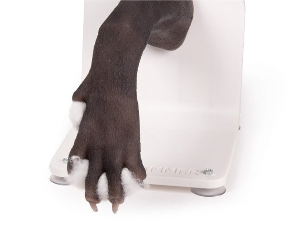 Canine Paw Bandage Trainer