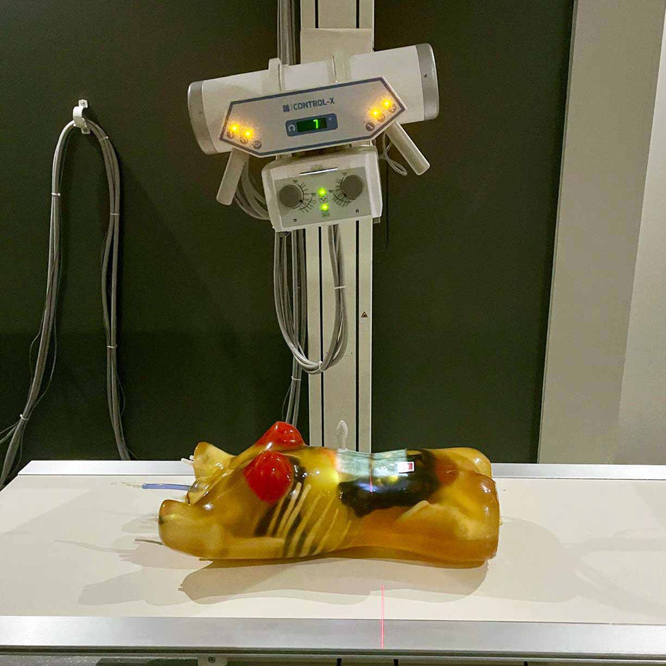 Adult Female Torso Phantom for X-Ray CT, MRI