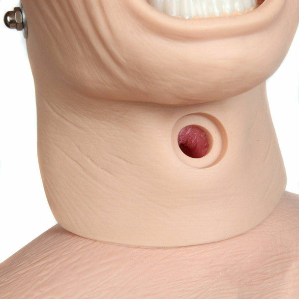 Advanced Full-body Geriatric Nursing Manikin