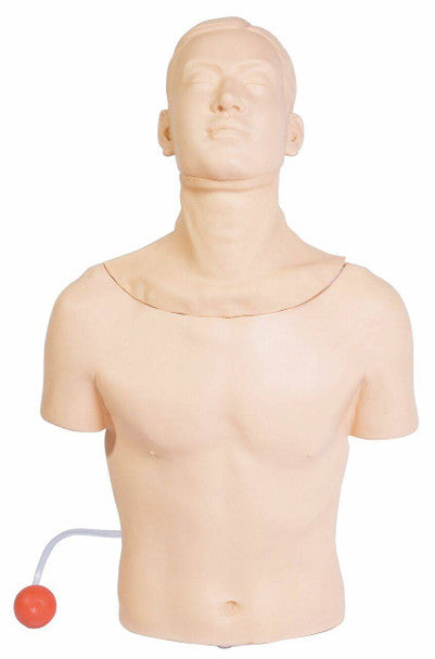 Male Tracheostomy Model