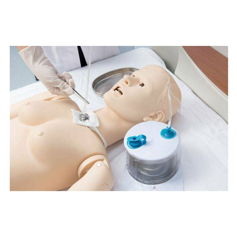 All-Purpose Patient Care Simulator