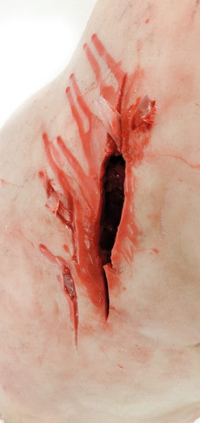 Trauma Training Torso