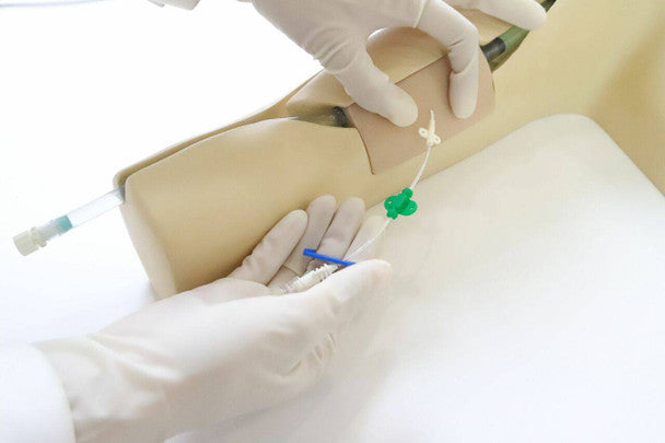 Peripherally Inserted Central Catheter (PICC) Ultrasound Training Model