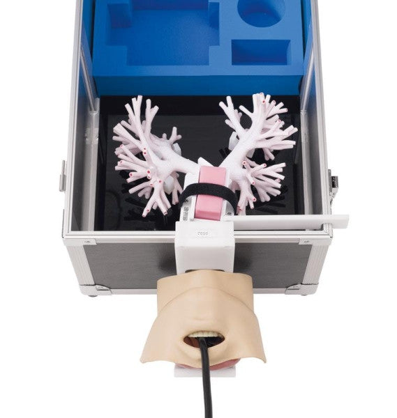 Ultrasonic Bronchoscopy Simulator