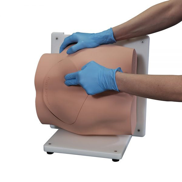 Bonnie Bone Marrow Biopsy Skills Trainer