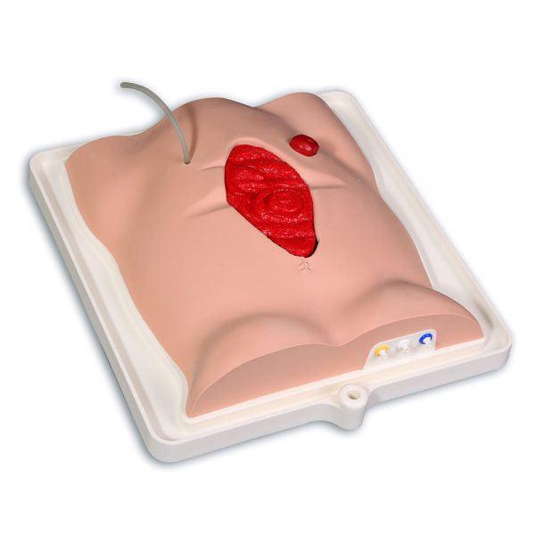 Freddie Fistula Skills Trainer