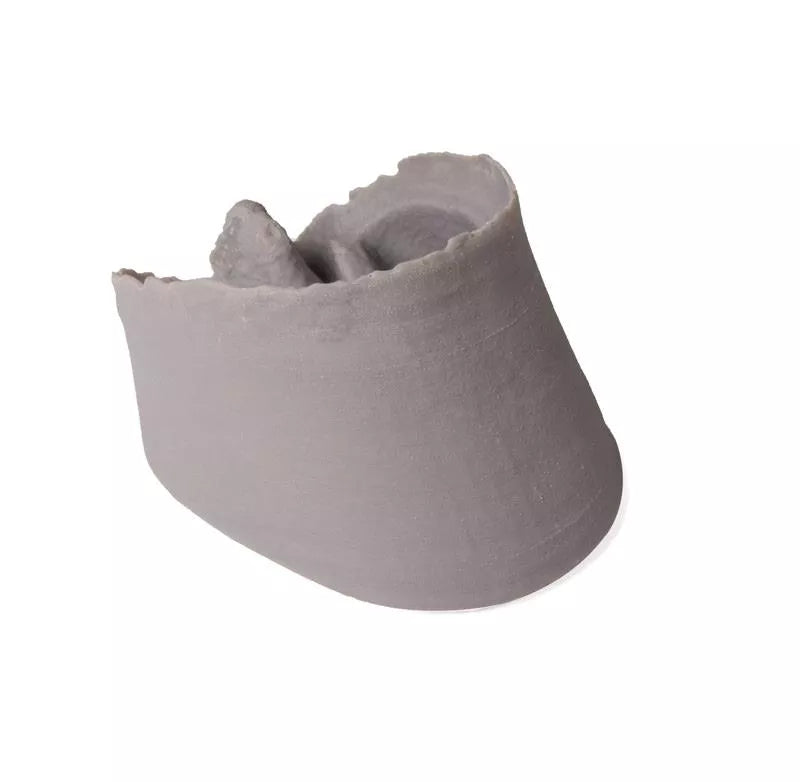 3D Printed Equine Hoof Capsule