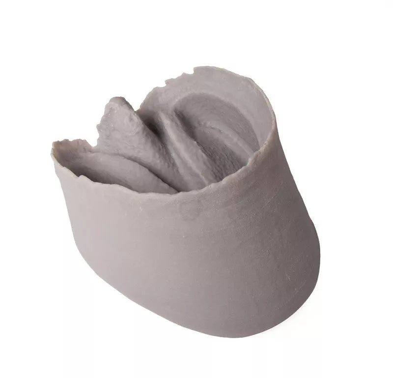 3D Printed Equine Hoof Capsule