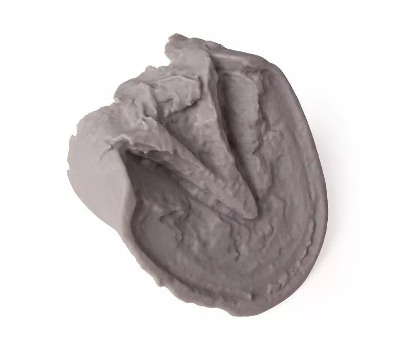 3D Printed Equine Hoof Capsule