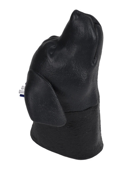 Canine Jugular Venepuncture Training Head