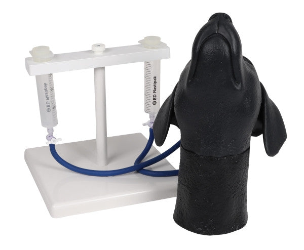 Canine Jugular Venipuncture Training Head