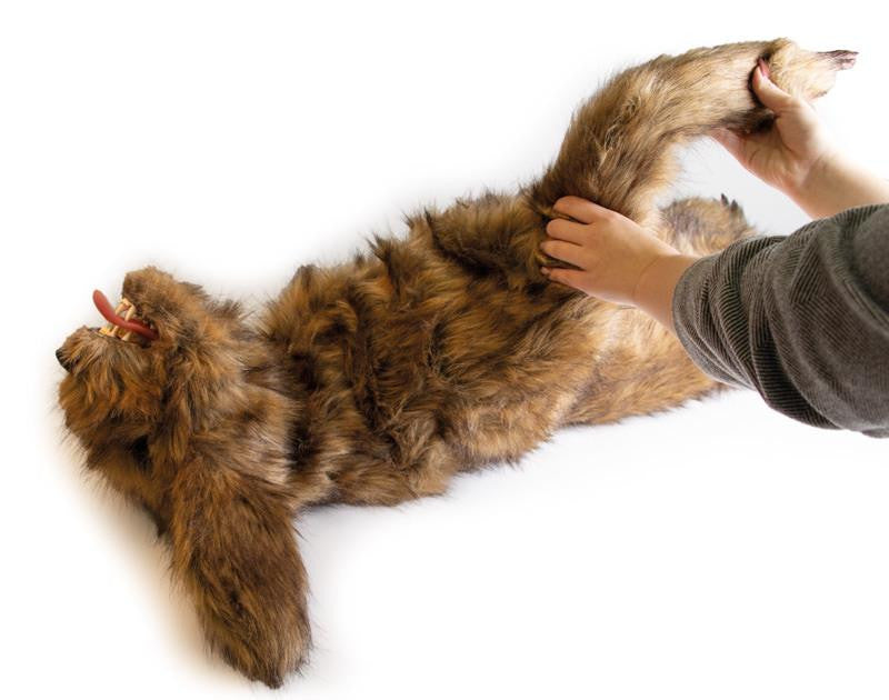 "Rocky" Canine Positioning Manikin