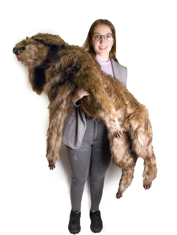 "Rocky" Canine Positioning Manikin