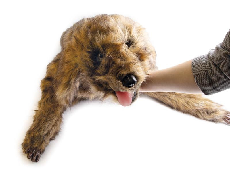 "Rocky" Canine Positioning Manikin