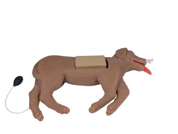 "CooPeR" Canine CPR Manikin