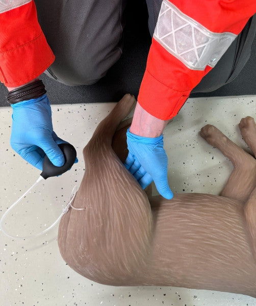 "CooPeR" Canine CPR Manikin
