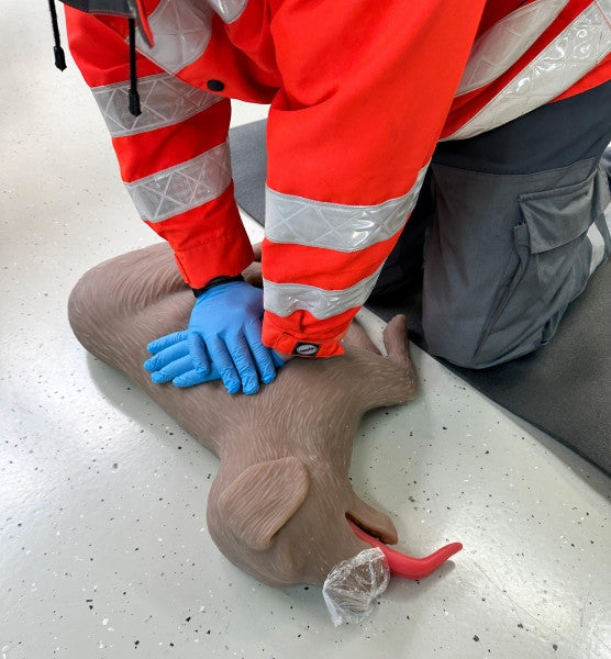 "CooPeR" Canine CPR Manikin