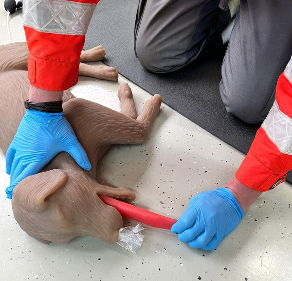 "CooPeR" Canine CPR Manikin
