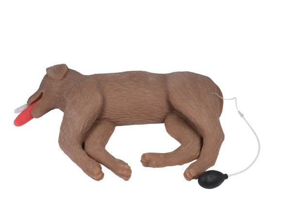 "CooPeR" Canine CPR Manikin