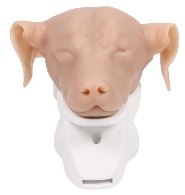 K9 Otoscopy Canine Simulator