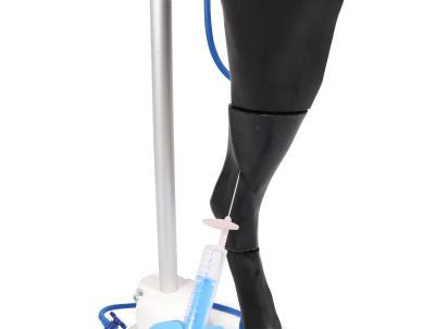 Vicky Canine Venipuncture & IM Simulator