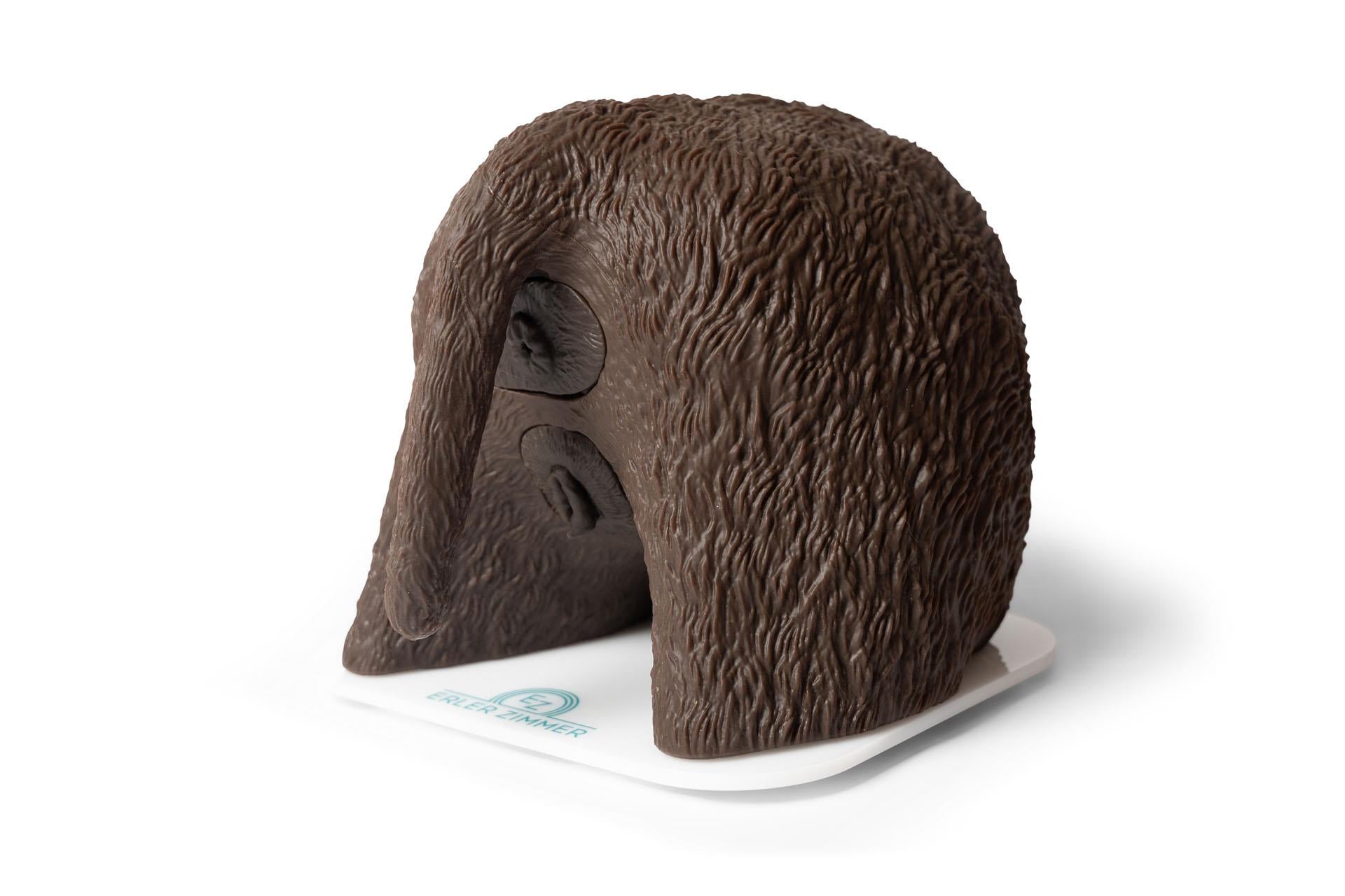 Cathy Female Canine Catheterisation Simulator