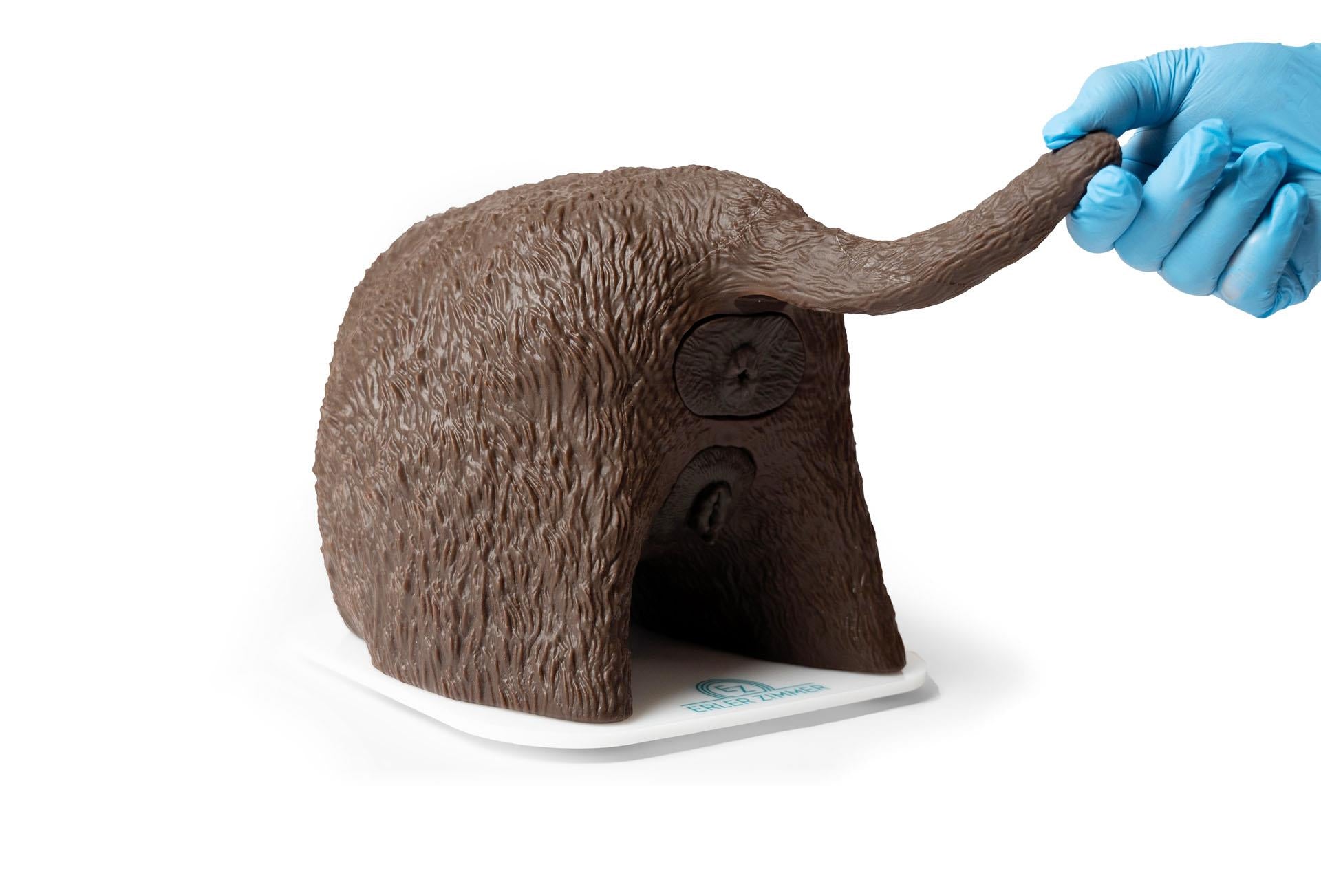 Cathy Female Canine Catheterisation Simulator