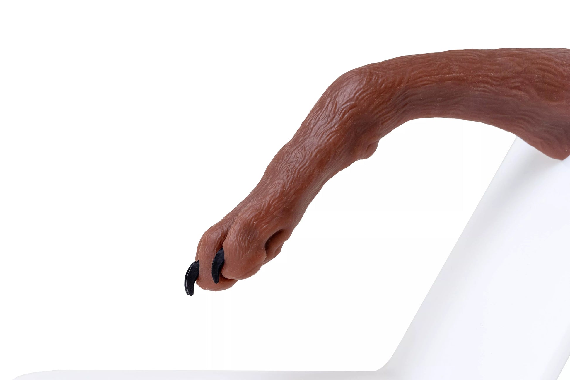 Canine Claw Trimming Trainer