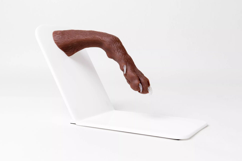 Canine Claw Trimming Trainer