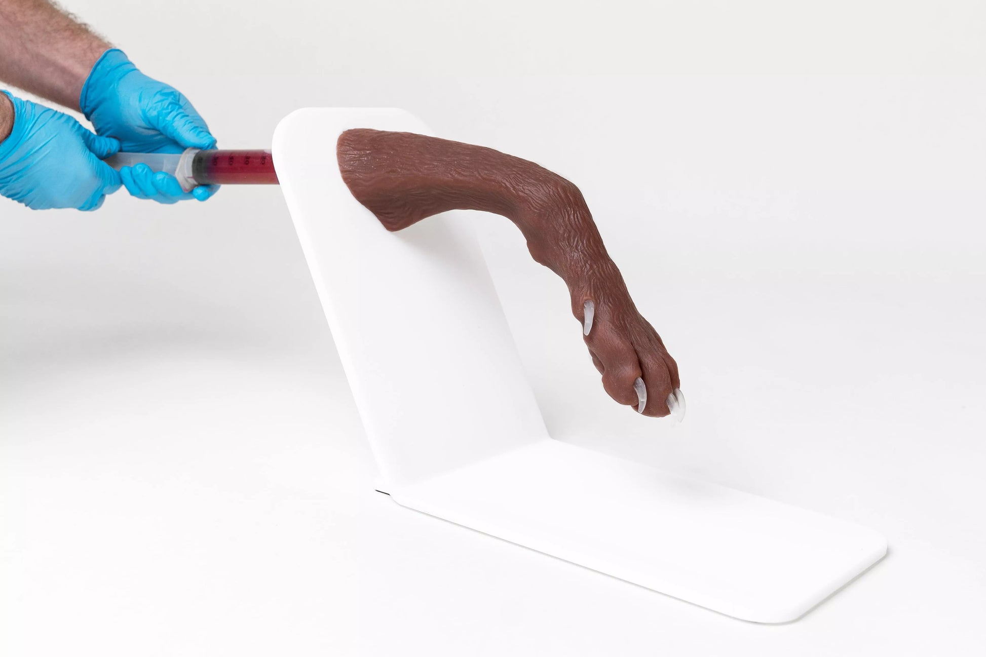 Canine Claw Trimming Trainer