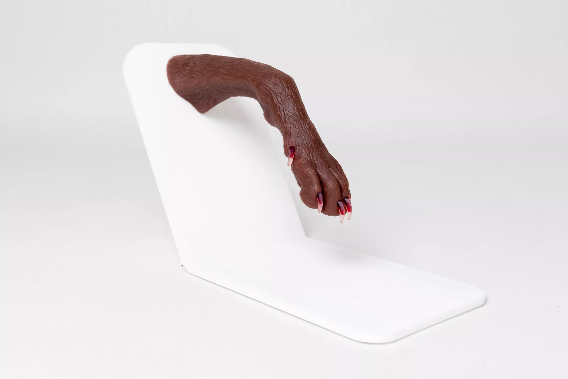 Canine Claw Trimming Trainer