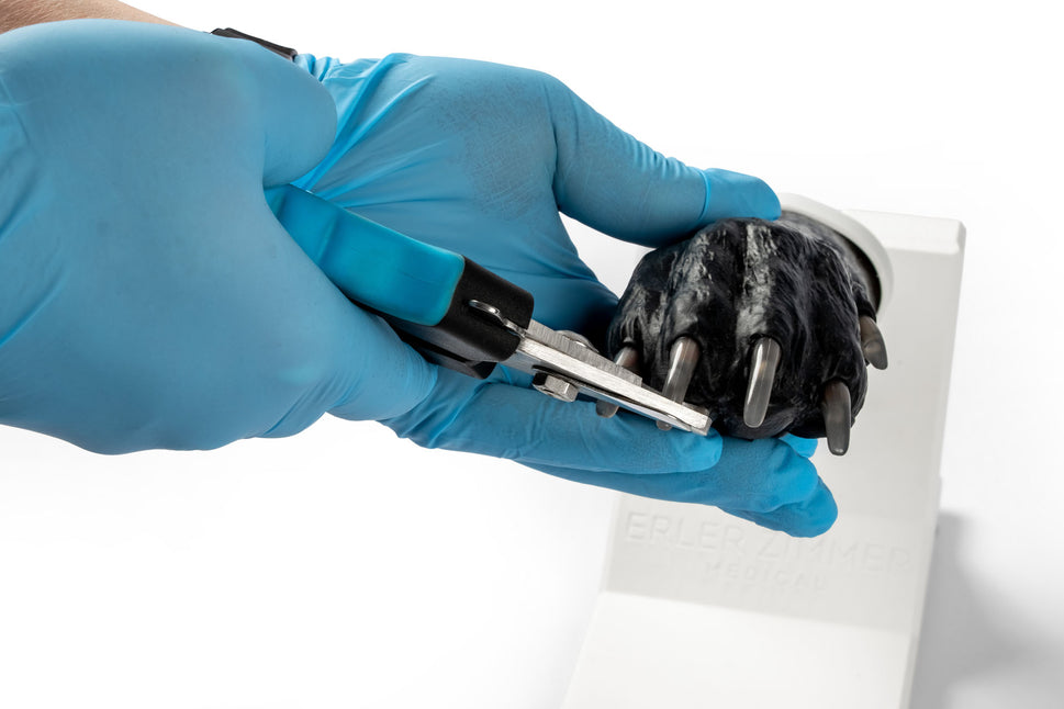 Canine Claw Trimming Trainer
