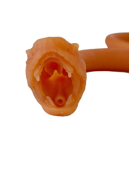 Snake Endotracheal Intubation Trainer