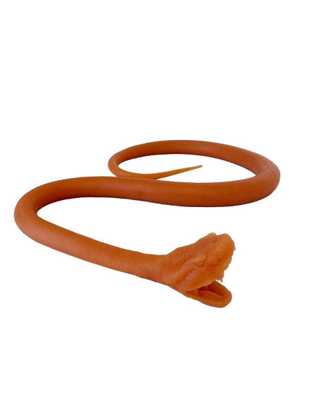 Snake Endotracheal Intubation Trainer