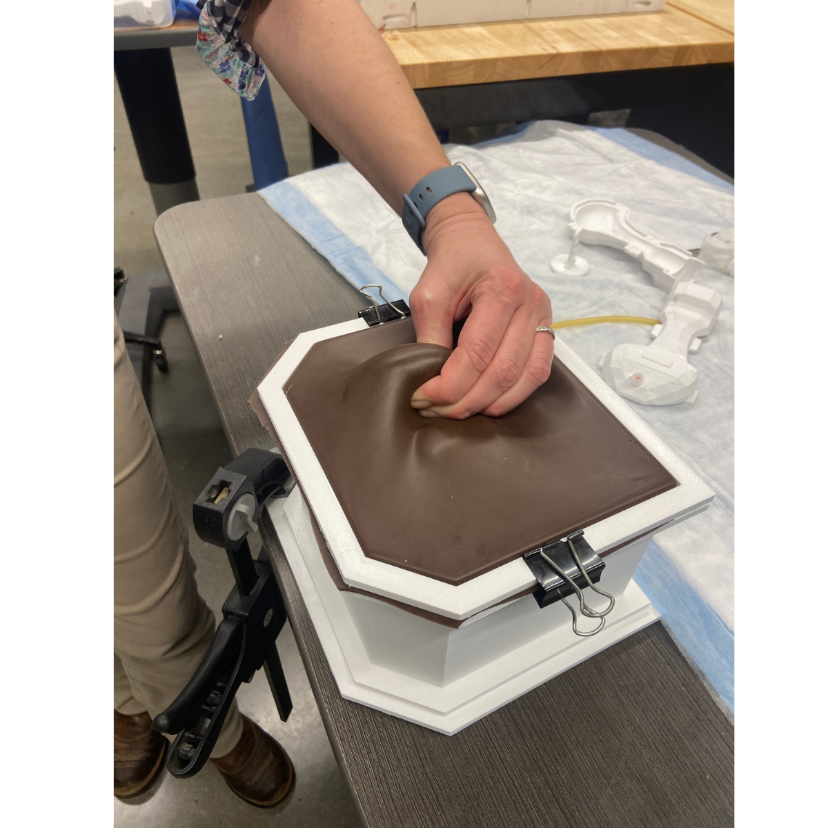 Equine Castration Surgical Simulator