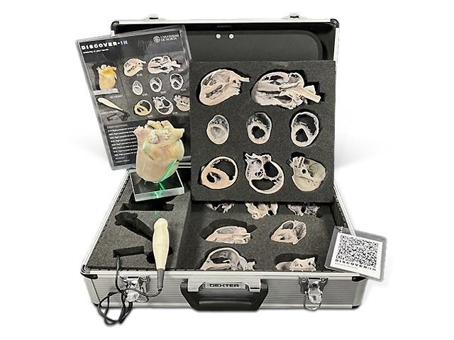 Canine Echocardiography Kit