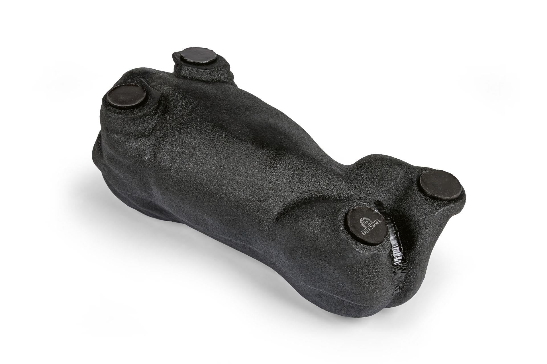 'Lillie' Canine Ultrasound Phantom Training Kit