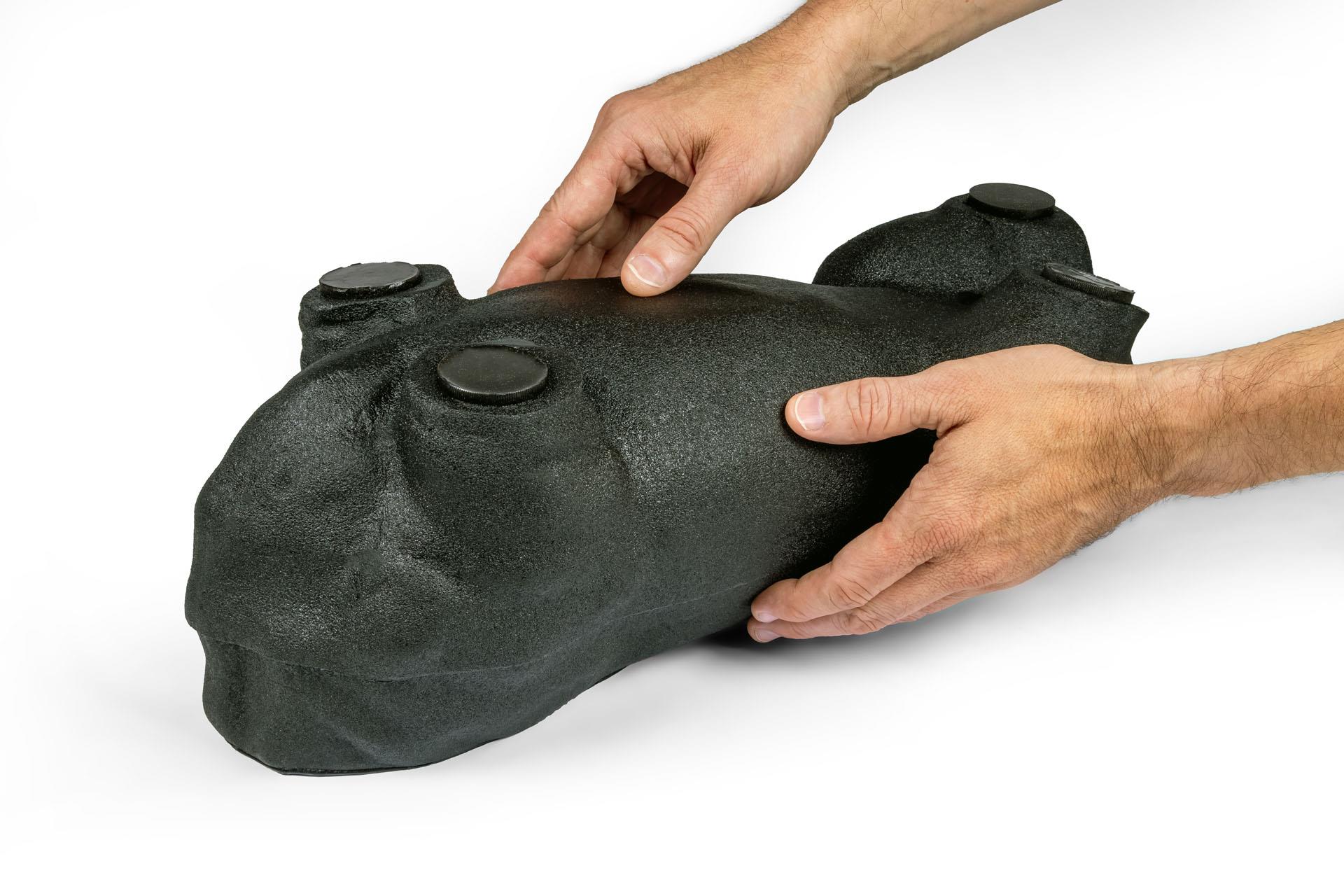 'Lillie' Canine Ultrasound Phantom Training Kit