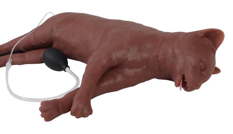 "CaPpeR" Feline CPR Manikin