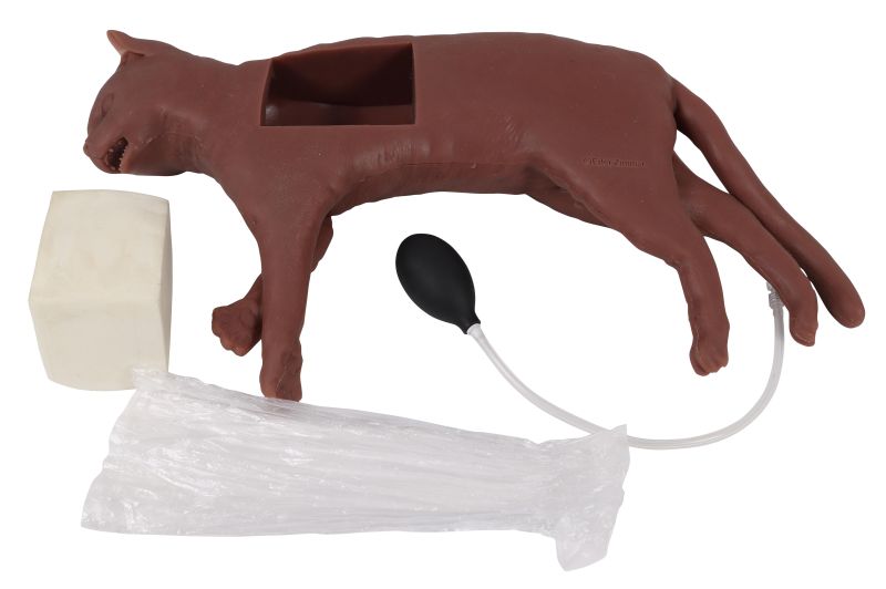 "CaPpeR" Feline CPR Manikin