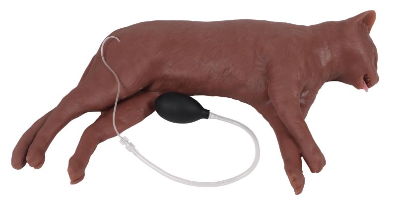 "CaPpeR" Feline CPR Manikin