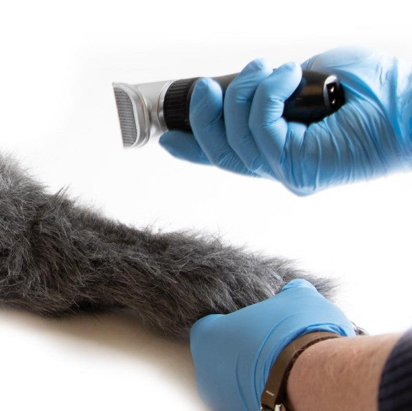 Canine IV Injection Leg