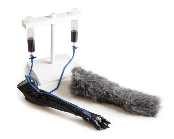 Canine IV Injection Leg