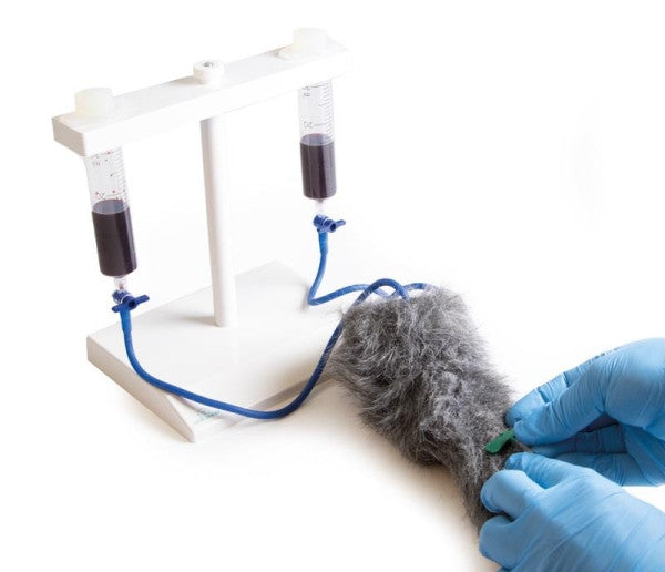 Canine IV Injection Leg