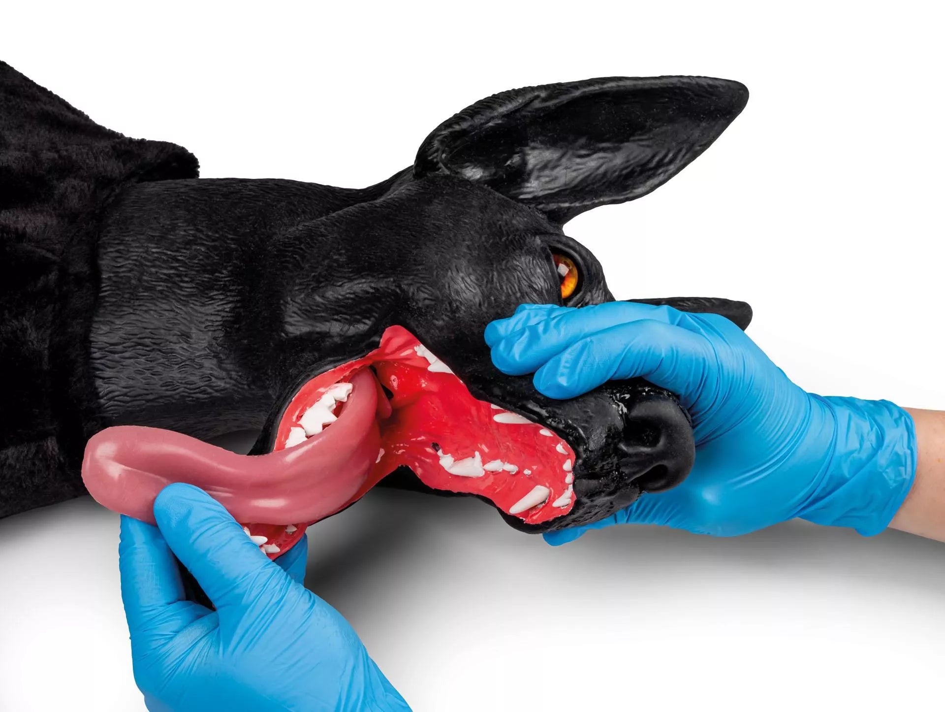 Marshal Military Working Dog (MWD) Canine Simulator