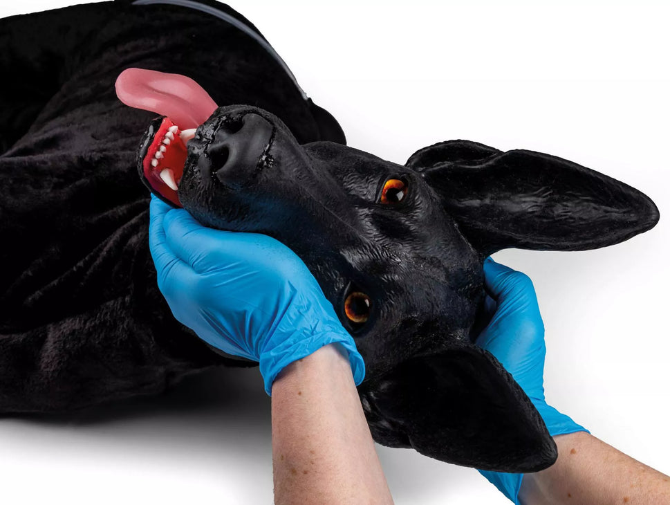 Marshal Military Working Dog (MWD) Canine Simulator