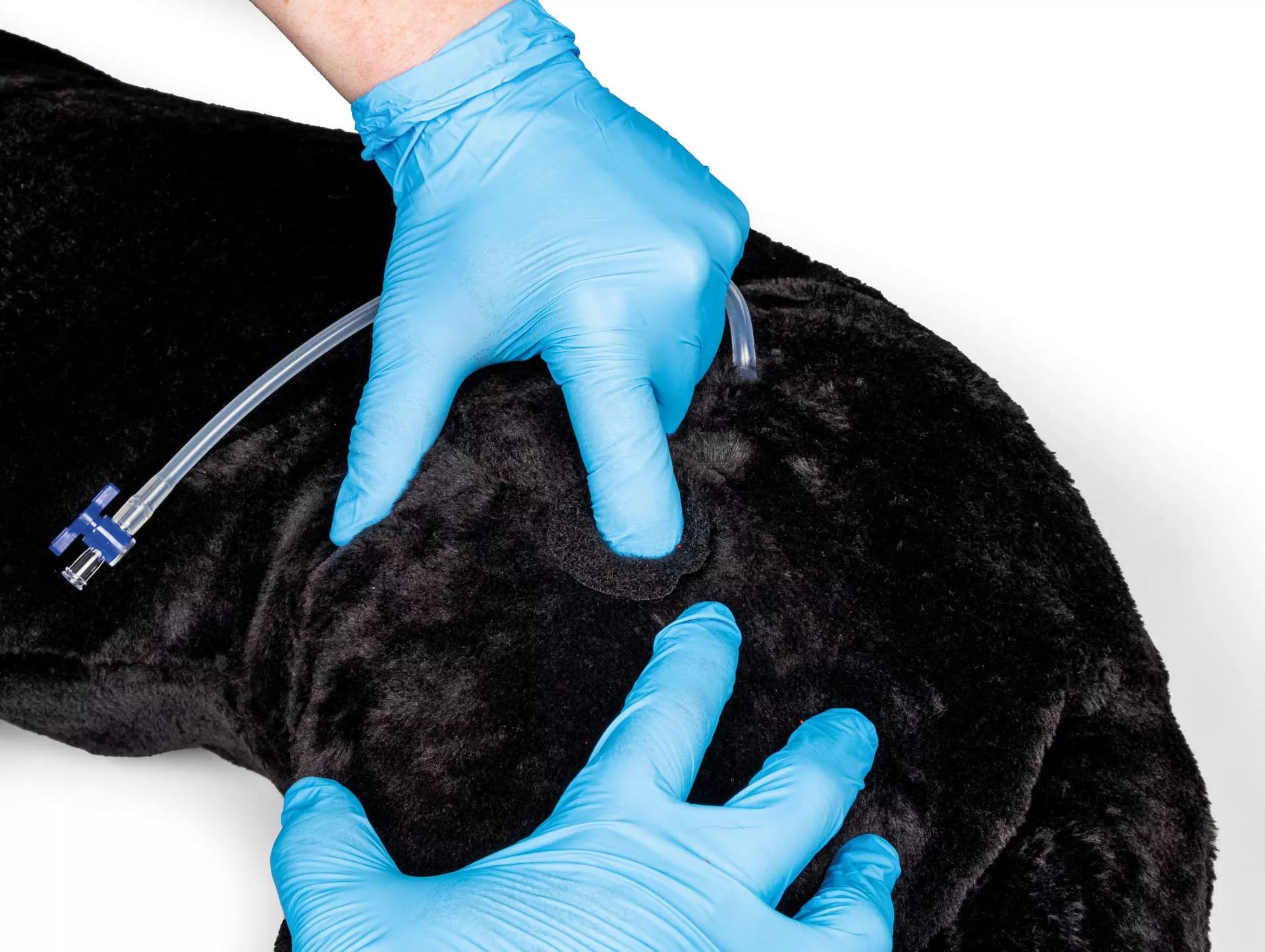 Marshal Military Working Dog (MWD) Canine Simulator