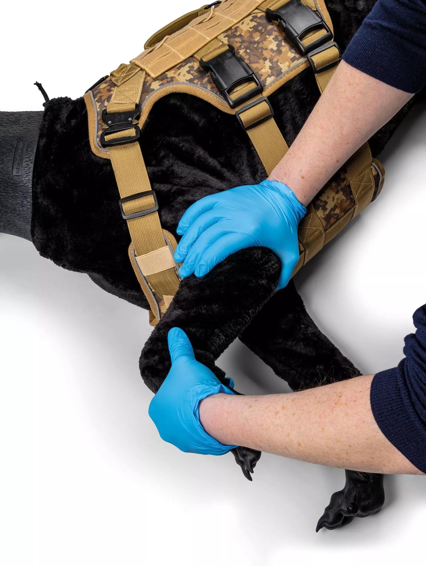 Marshal Military Working Dog (MWD) Canine Simulator